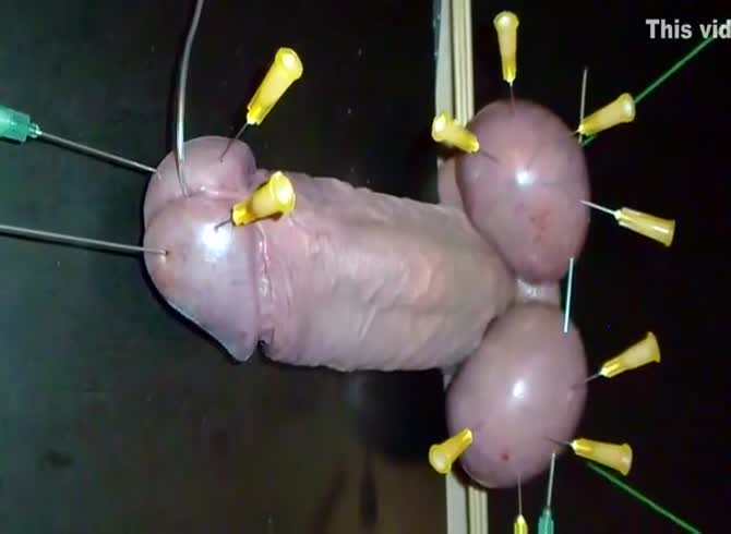 Video :Man's dick getting injected with pins all over it
